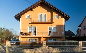 Jakov